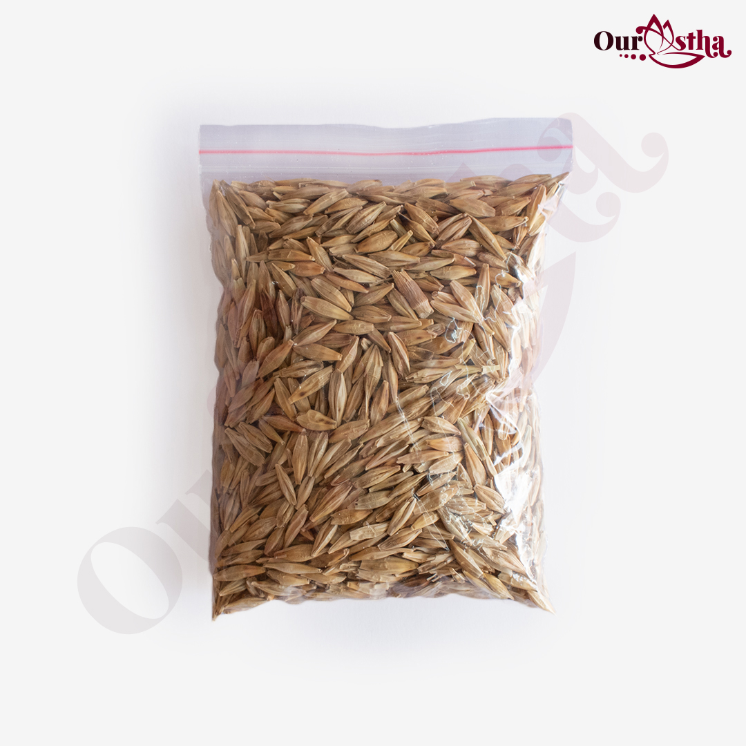 Desi Barley Grain (Jau)