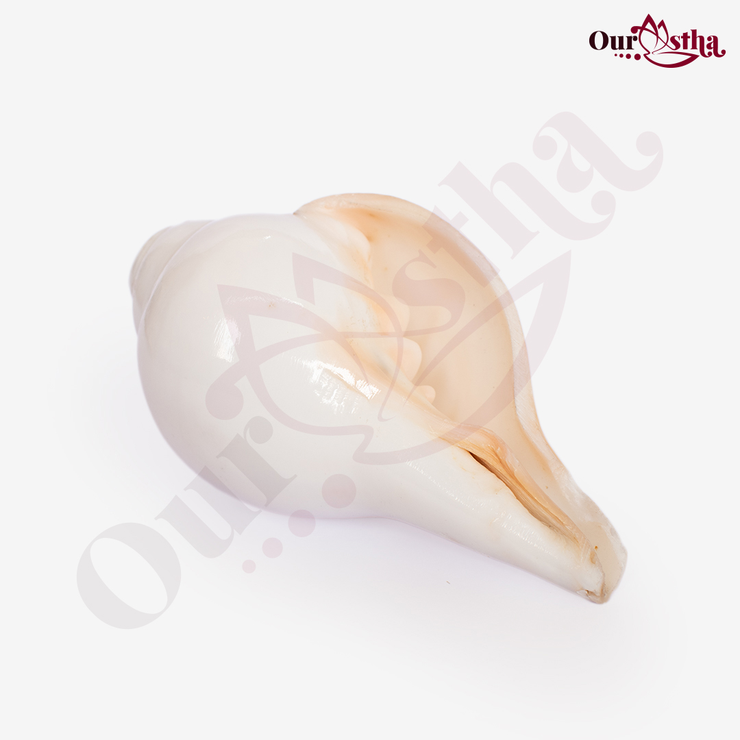 Shankh